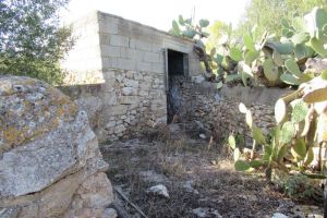 PERCEEL MET OUDE FINCA