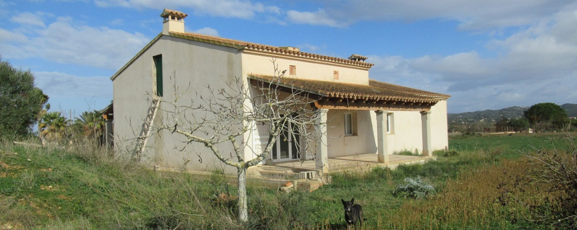 Finca with view to San Salvador