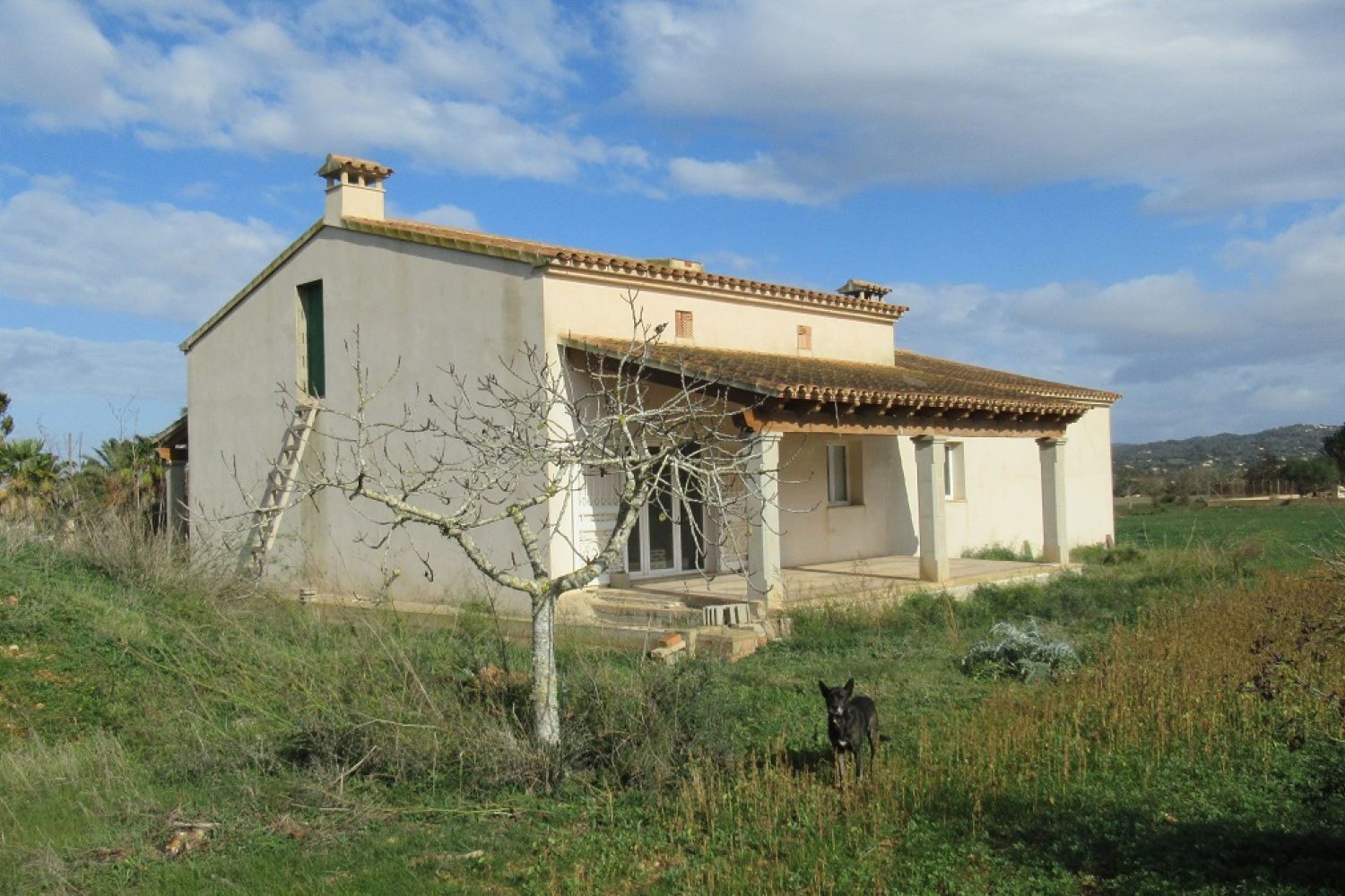 Finca with view to San Salvador