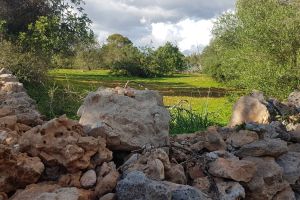 Plot in a very quiet location