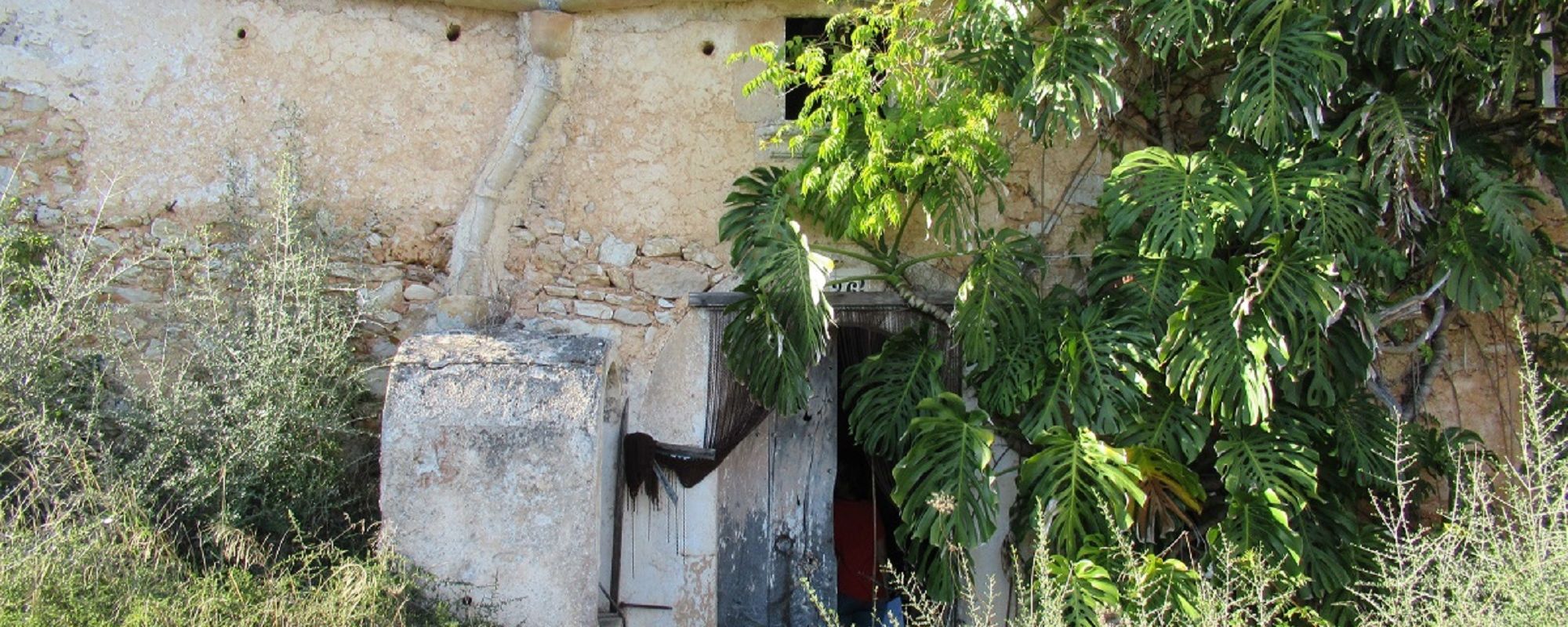 FINCA ANTIGUA