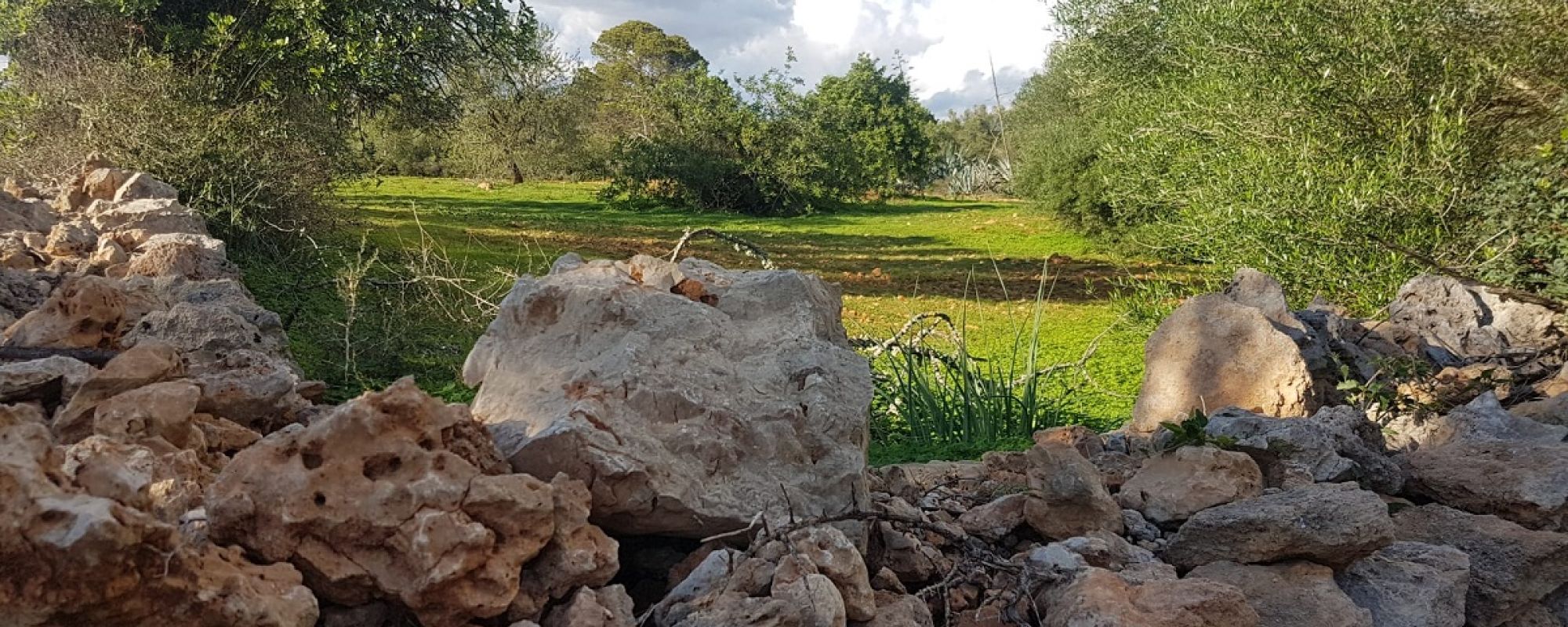Parcela en una zona muy tranquila