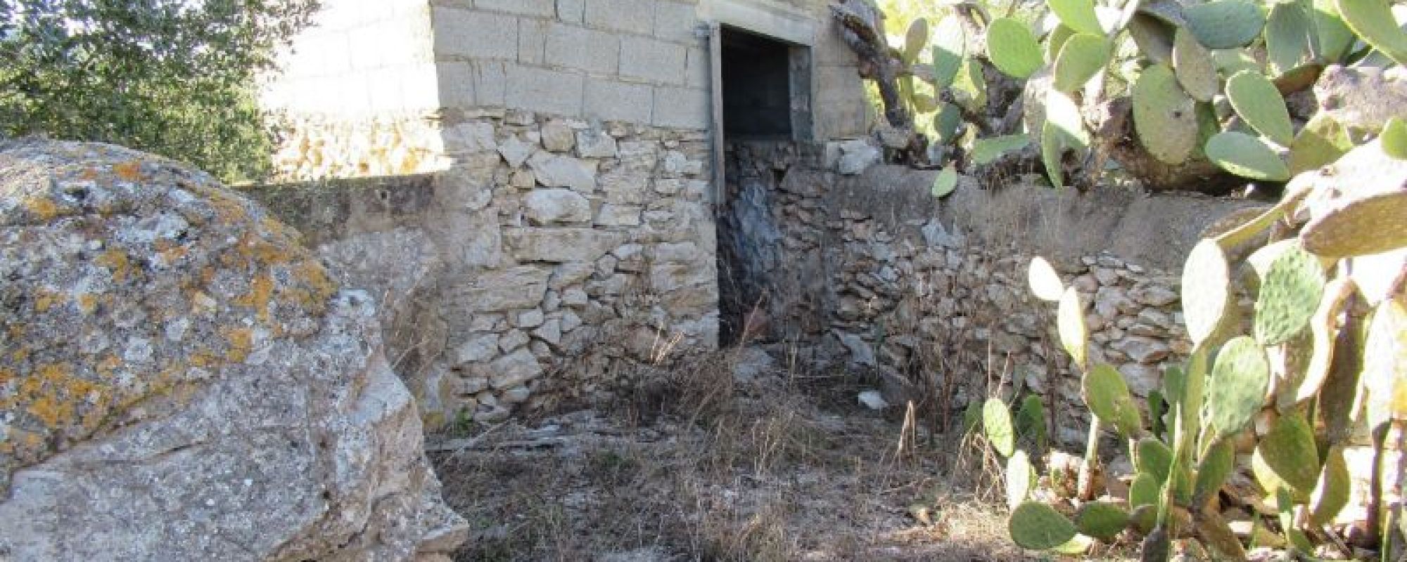 PERCEEL MET OUDE FINCA
