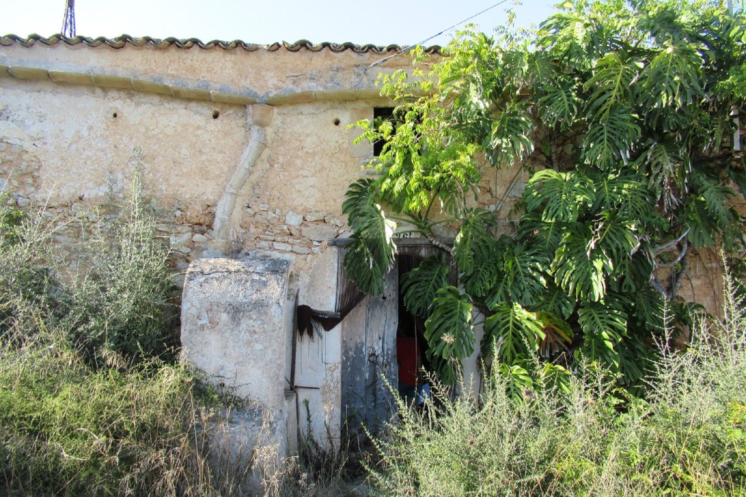 FINCA ANTIGUA