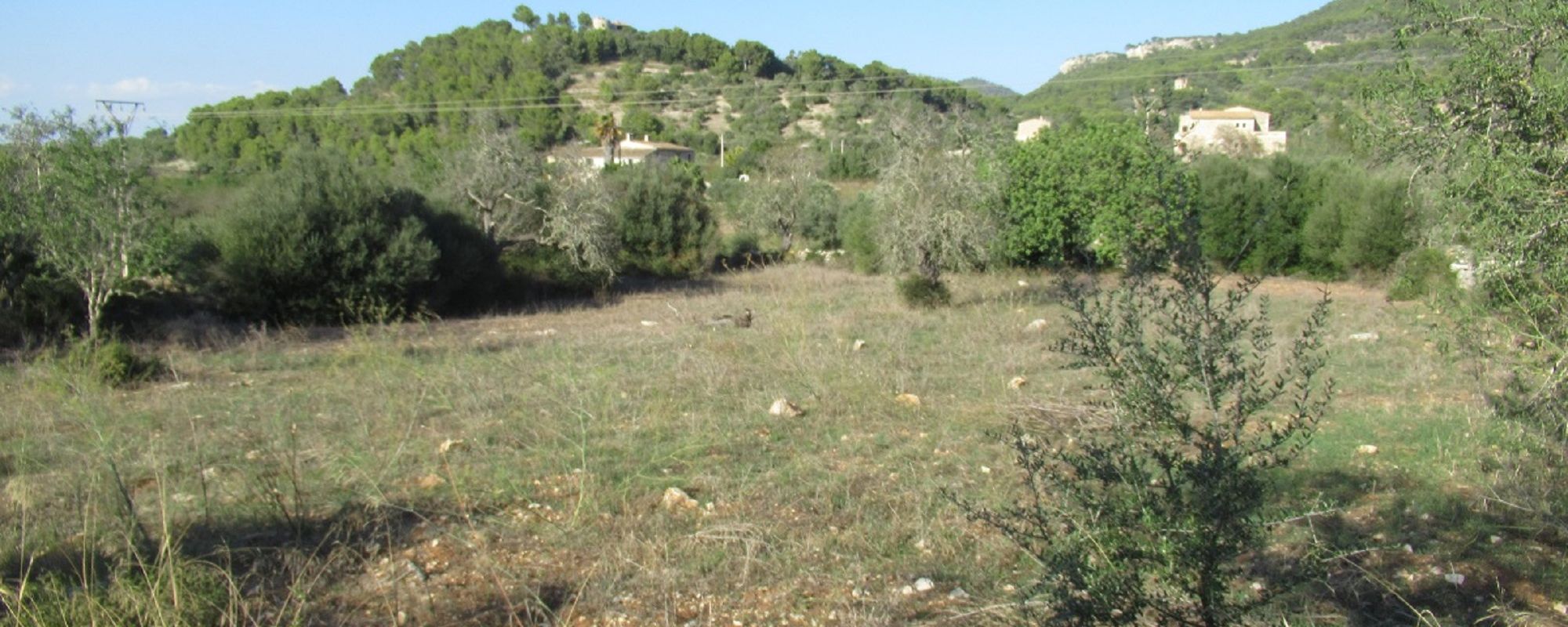 Rustic plot of approx. 39,642 sqm.